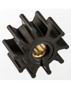 100-1515505.jpg